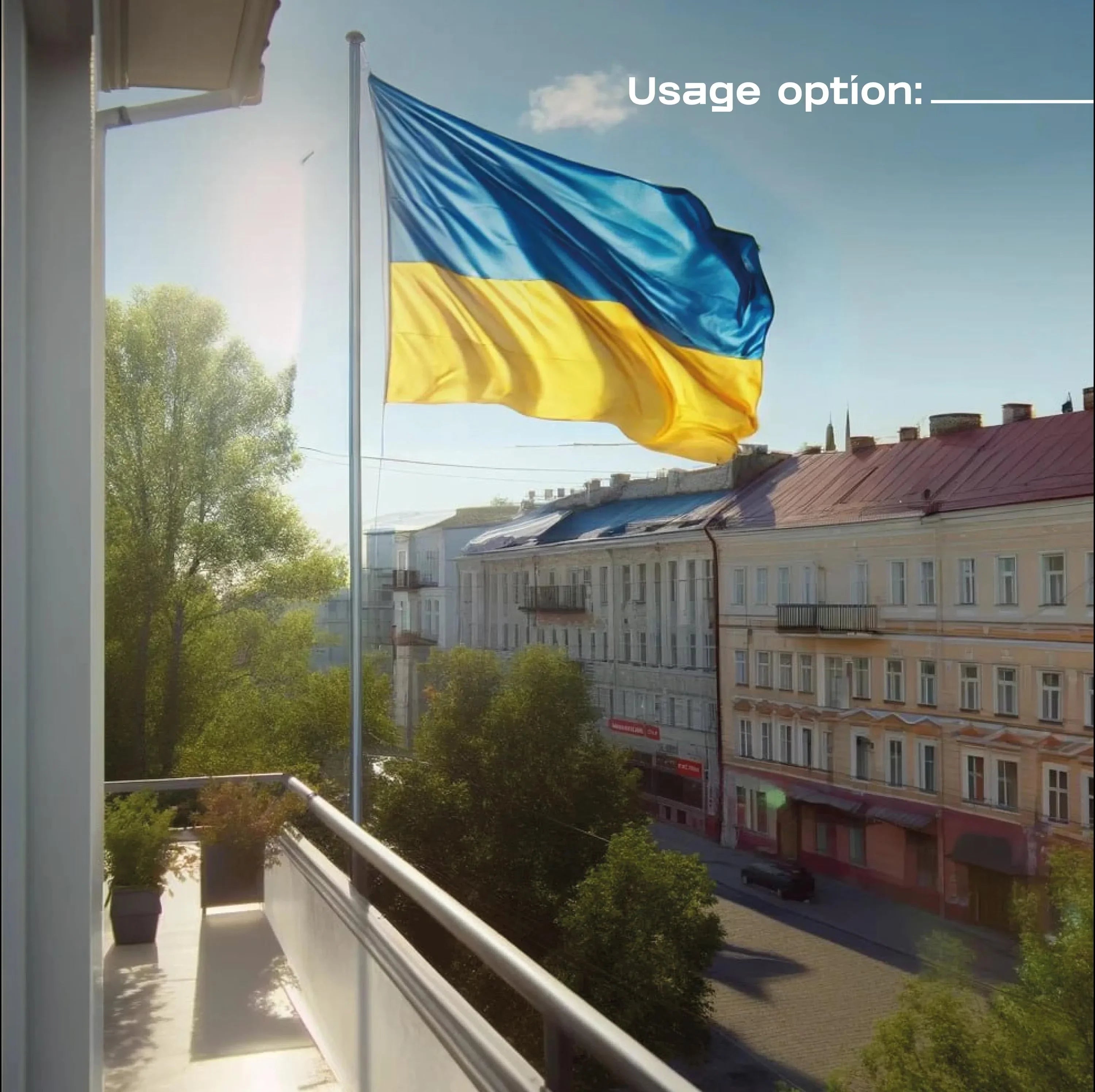 Ukrainian Flag | Made in Ukraine | Support Ukraine - The Frame Depot