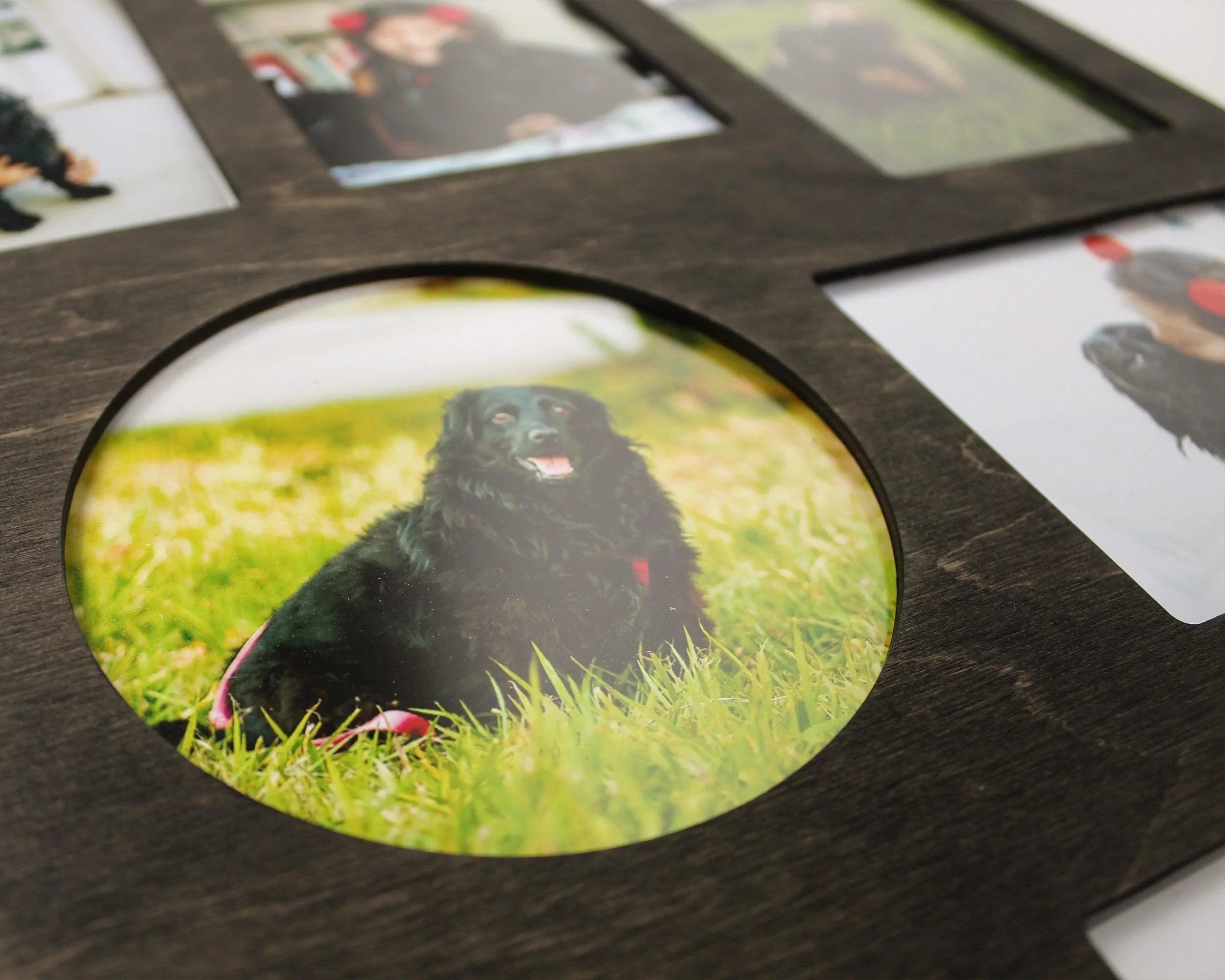 Doghouse Photo Frame | Personalized Dog Gift - The Frame Depot