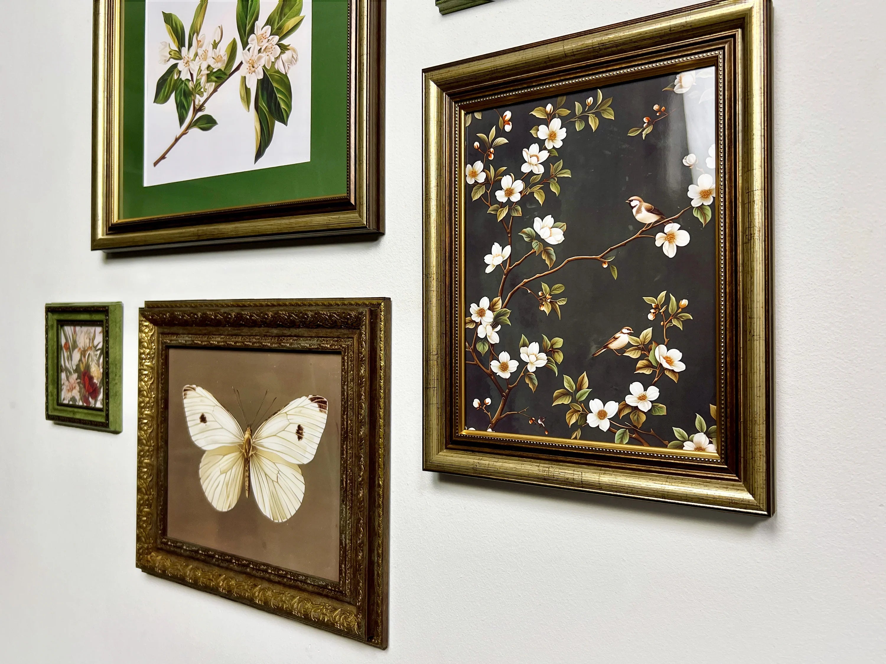 Regalia Vintage Small Set - Gallery Wall Frames