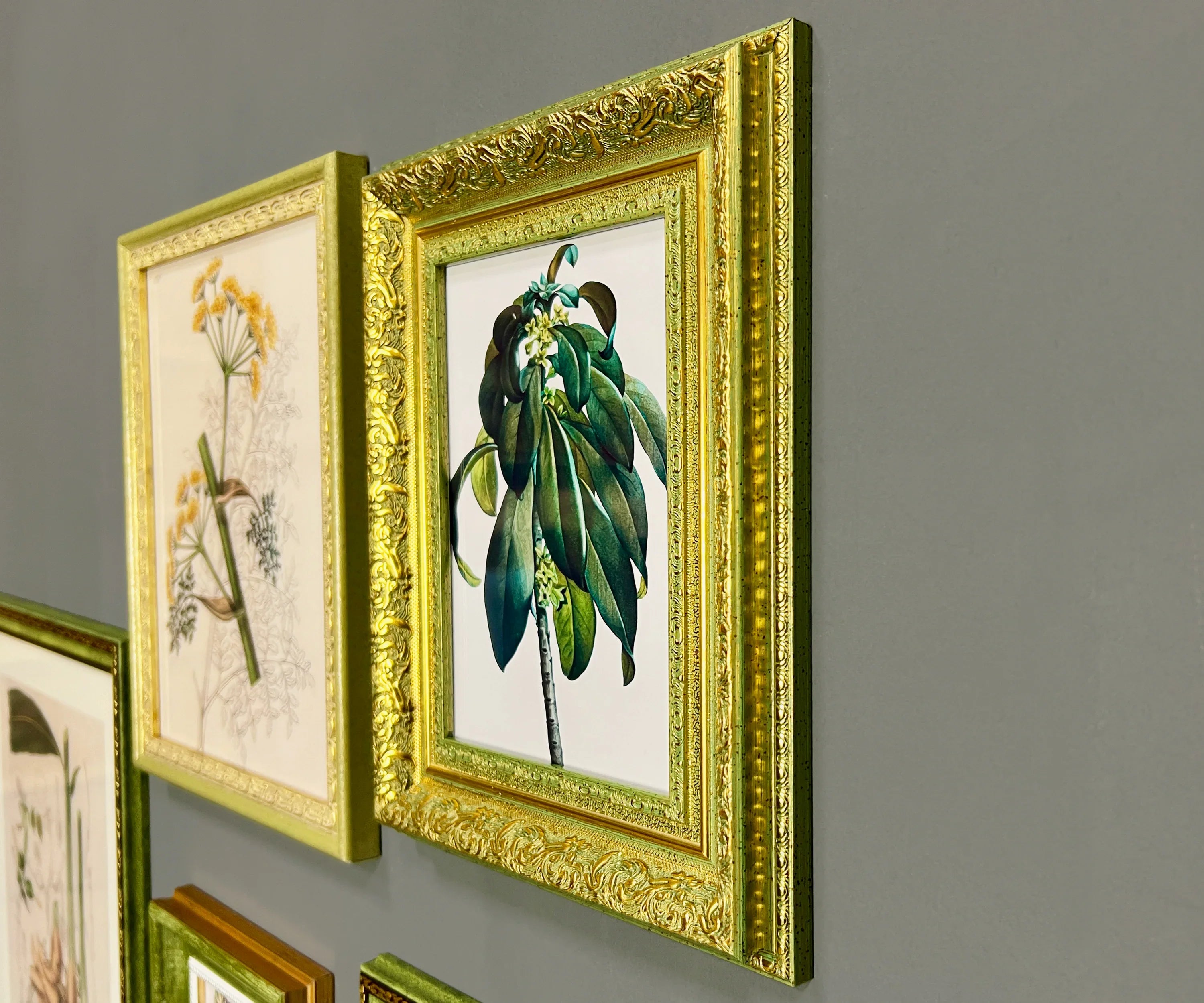 Green & Gold Vintage Gallery Wall Frames Set